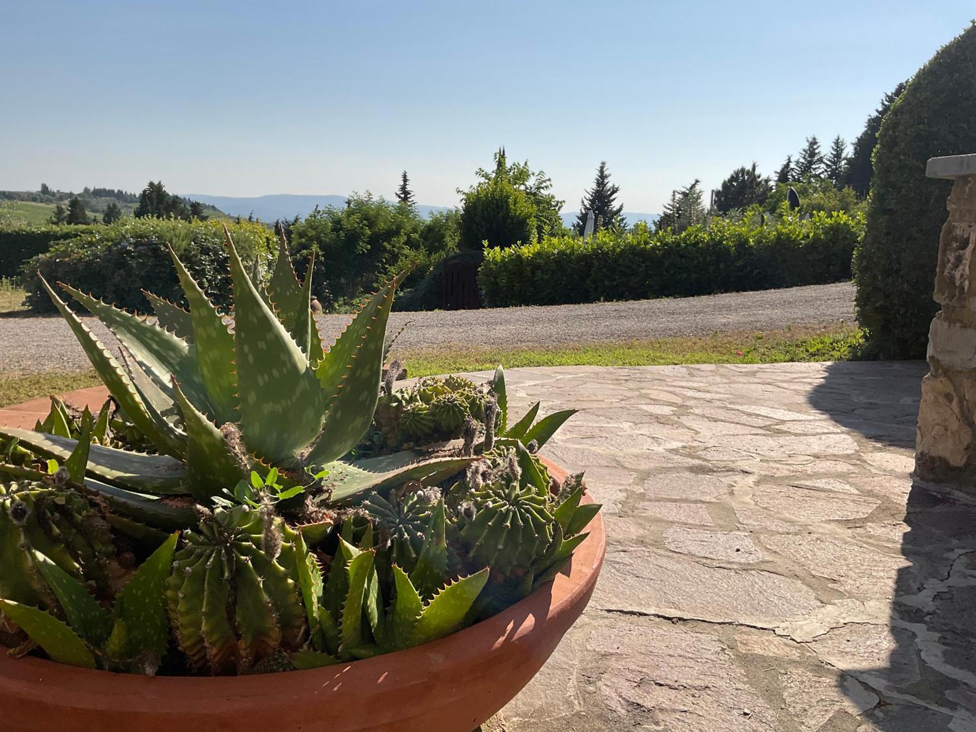 Villa Il Borraccio Tavarnelle Val di Pesa Eksteriør bilde